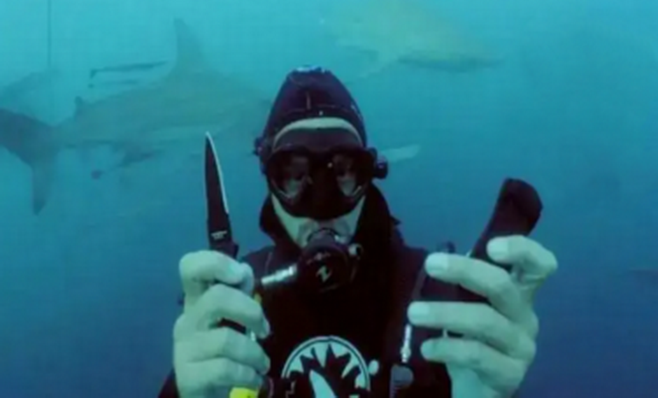 A Diving Knife Is An Essential Piece Of Diving Equipment