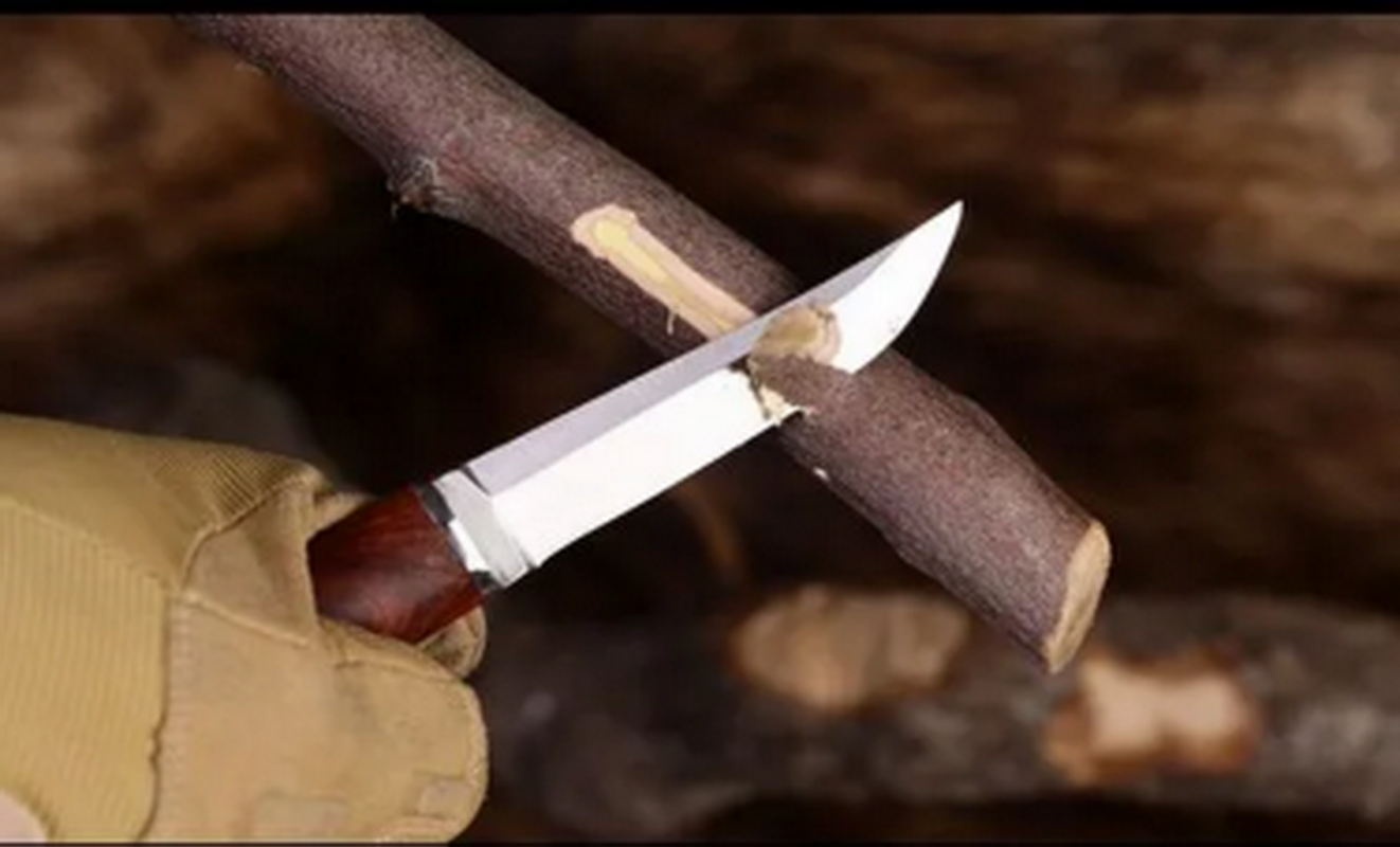 How to judge which knife to choose in which environment