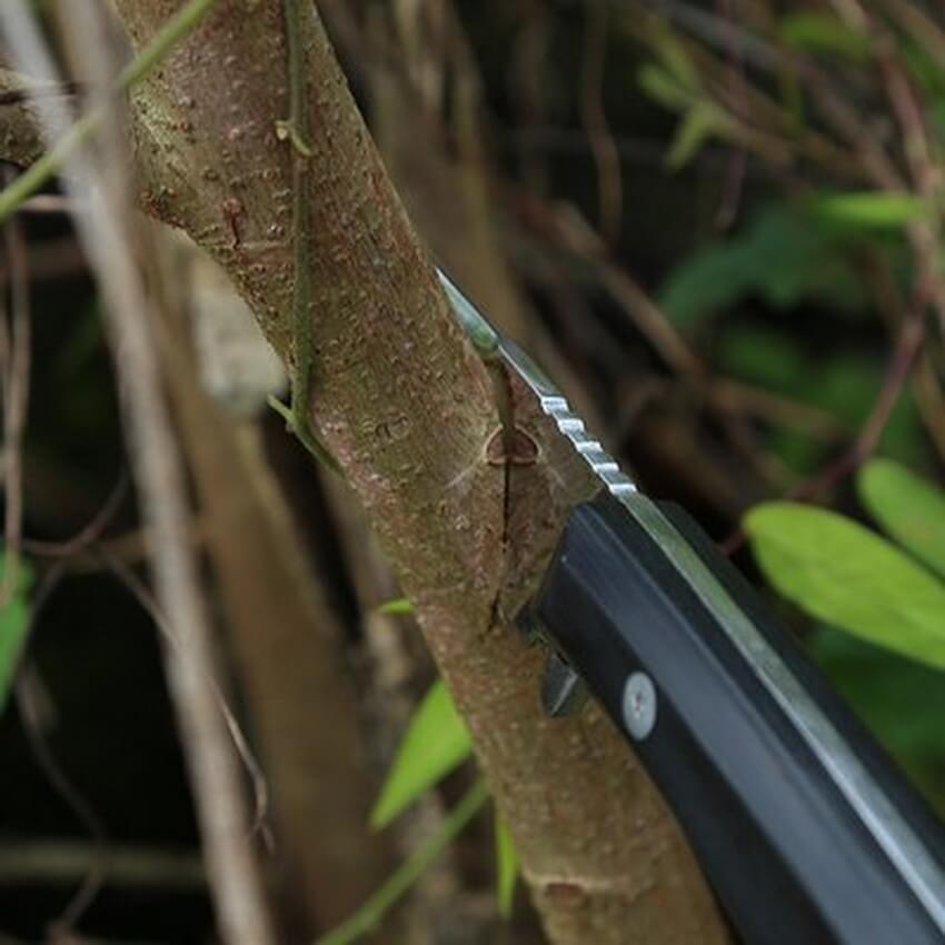 outdoor knife (1).jpg